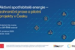 Webinář: Aktivní spotřebitelé energie – zahraniční praxe a pilotní projekty v Česku
