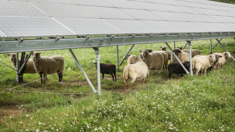 Česko má v obnovitelných zdrojích na víc, spočítali experti z Univerzity Karlovy. Rozvoj zelené energetiky přinese snížení škod na lidském zdraví a krajině až o 6,4 mld. korun k roku 2030