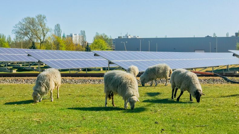 Jasný zelený směr Evropy: rodí se shoda, jaký má být podíl obnovitelných zdrojů do roku 2030. Česko bude muset zabrat